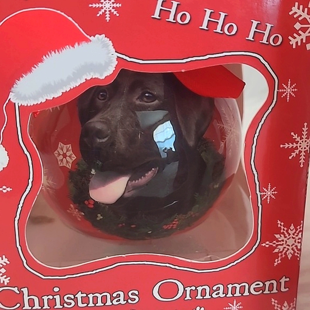 🆕️ Kirkland's Christmas Ornament Labrador Retreiver Lab Dog Pair of  Ornaments - Picture 6 of 15